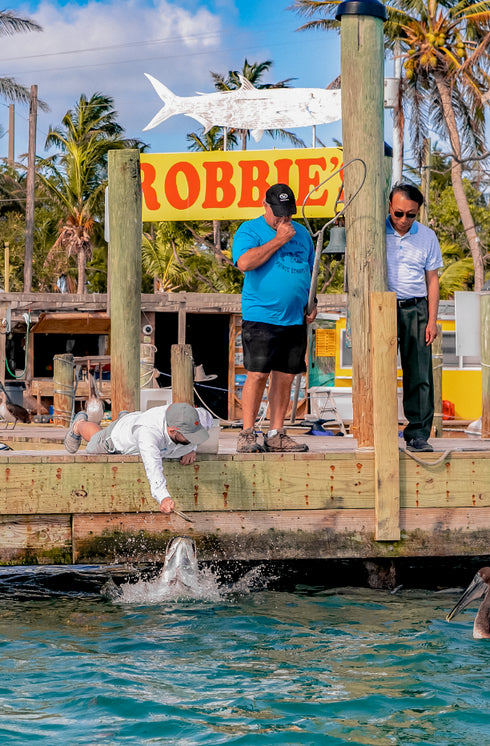 Tarpon Feeding Experience
