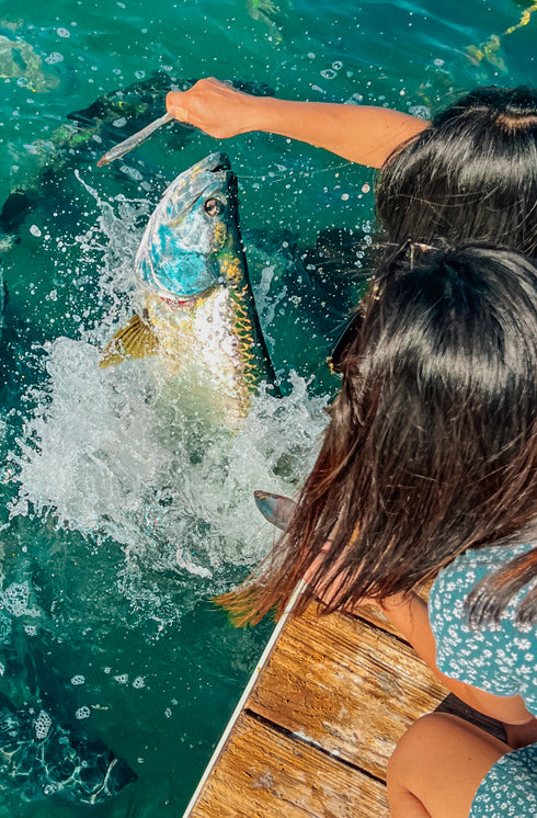 Tarpon Feeding Experience