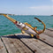 Snook Hat Hook - Robbie's of Islamorada